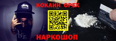 крисы Кулебаки