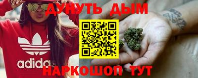 гашик Кунгур