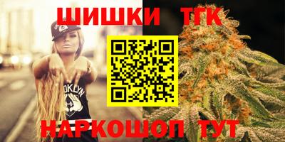 крисы Кулебаки