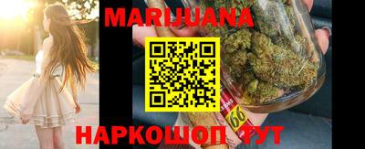 крисы Кулебаки