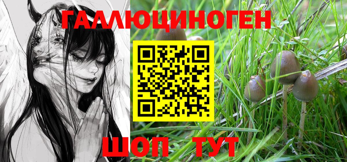 Галлюциногенные грибы Psilocybine cubensis  Галлюциногенные грибы ЛСД  Шали  Вход с VPN 