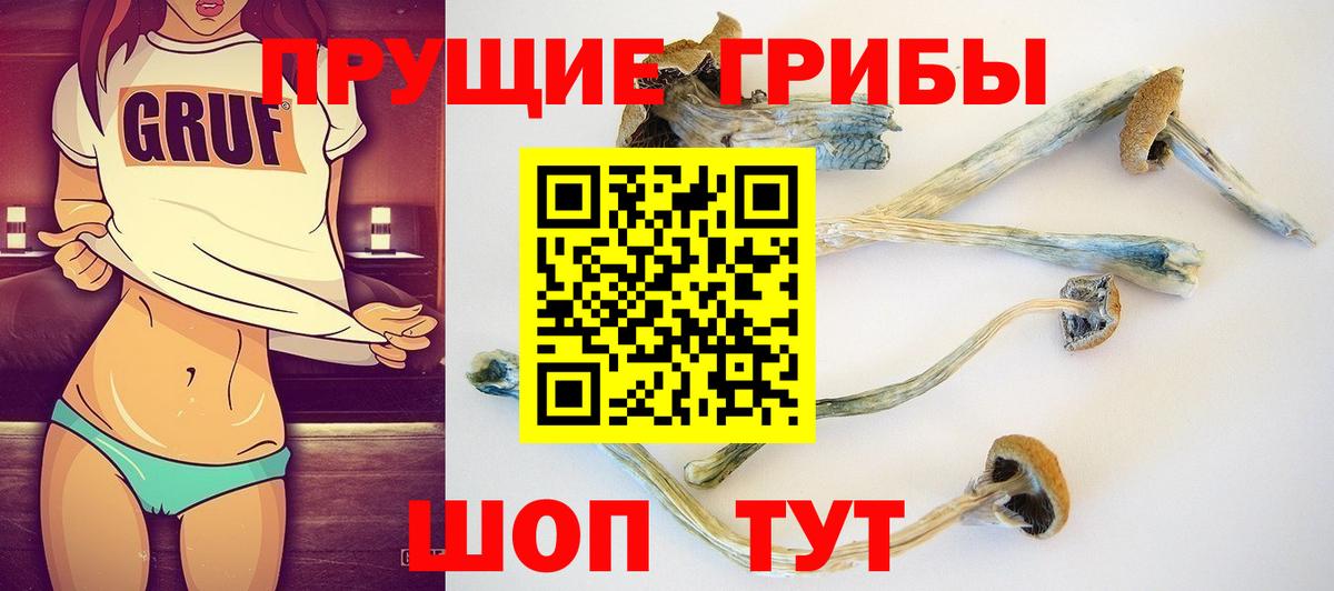 Псилоцибиновые грибы мицелий Шали